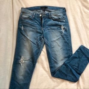 Flying Monkey Stretch Skinny Jeans